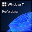 Windows 11 Microsoft Windows 11 Pro 64Bit Eng Intl 1pk DSP OEI DVD (FQC-10528)